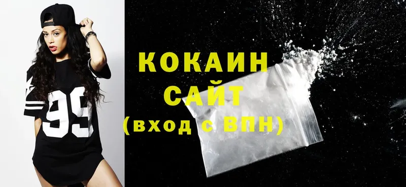 Cocaine FishScale  kraken как зайти  Анадырь  даркнет сайт 